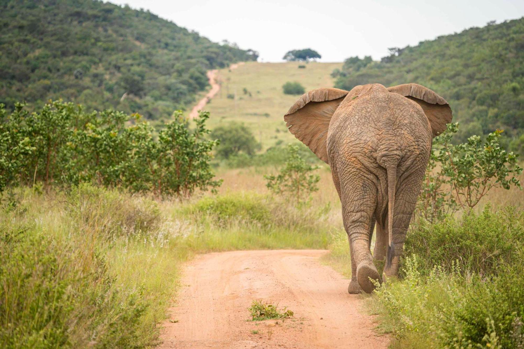 Ekuthuleni Lodge Strand Ngoại thất bức ảnh